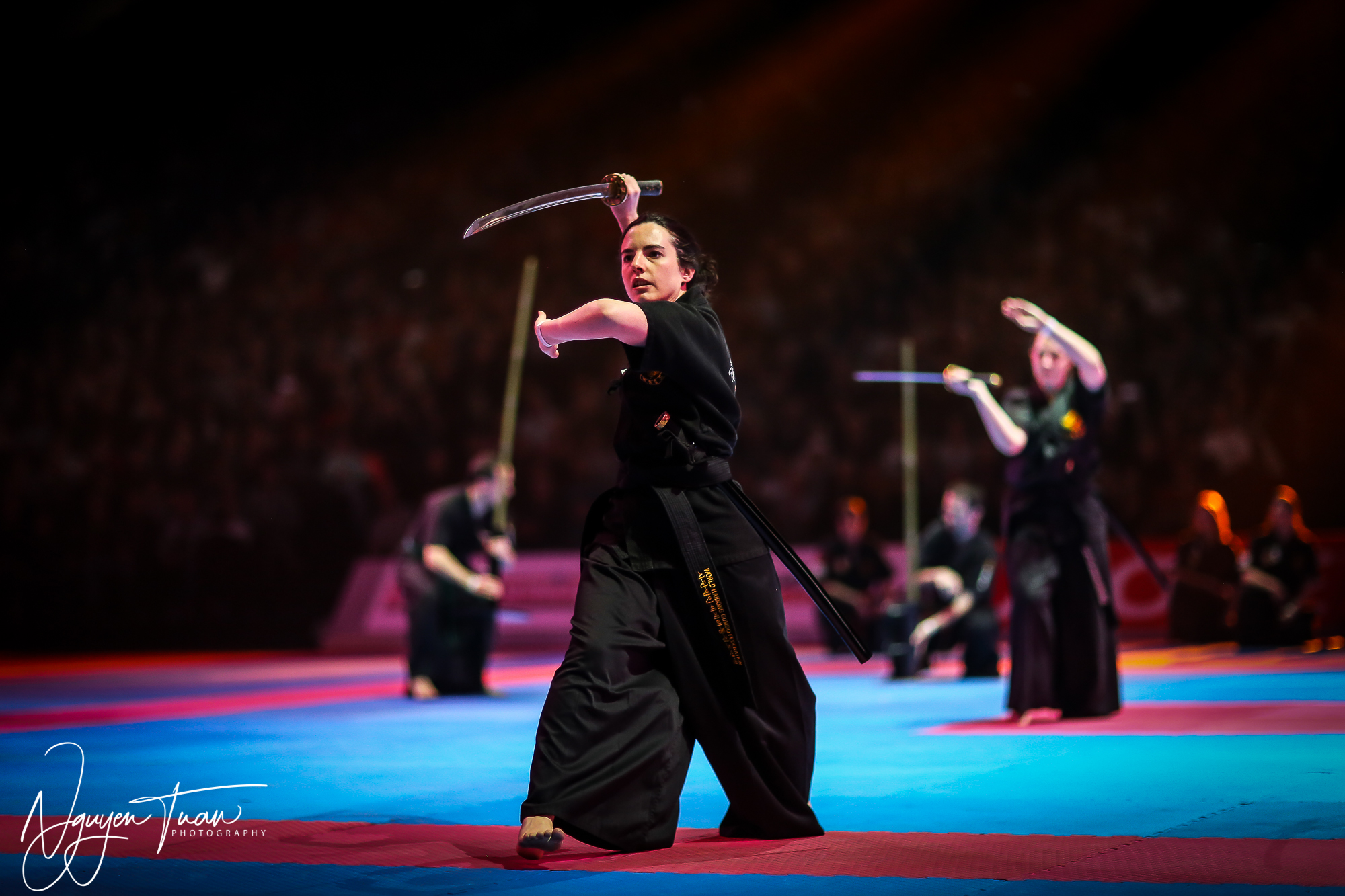 20190324 Festival des Arts Martiaux 3471